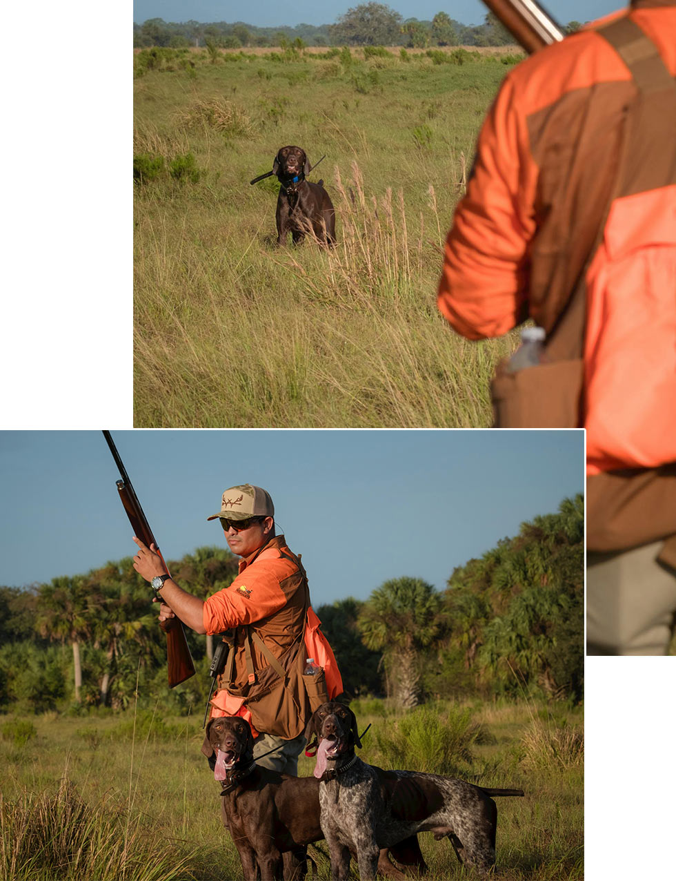 hunting offers spain